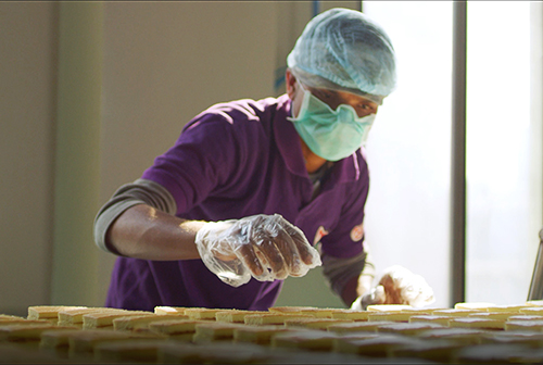 Workshop-and-Training-image-3.jpg